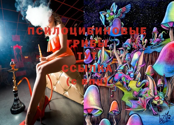 mdpv Новодвинск