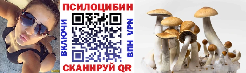 Галлюциногенные грибы прущие грибы  что такое наркотик  Россошь 